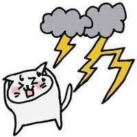 猫 急に怖がるようになった4つの原因 怯え隠れる時の対処 ネコ案内 毒ネコとの楽しい日々 猫 急に怖がるようになった4つの原因 怯え隠れる時の対処 ネコ案内 毒ネコとの楽しい日々
