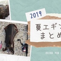 夏エギングを攻略するコツとポイント 様々なサイズを楽しめる最高のシーズン 釣りの人 夏エギングを攻略するコツとポイント 様々なサイズを楽しめる最高のシーズン 釣りの人