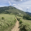 徒歩キャン・伊豆山稜線歩道の巻