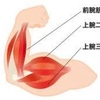 腕を鍛えて、太い腕でたくましくなりましょう^_^！！