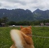 柴犬館長戸隠探検記２