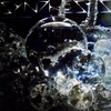 「名和晃平　シンセシス」。2011.6.11~8.28。東京都現代美術館。
