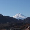 穏やかな日曜日