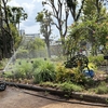 初夏のつくば植物園　2026.5.26.