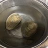ボンビノス貝