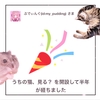 ねぇ！？聞いて！半年だって！！！！