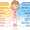 間違っている”冷え”対策！熱い風呂、半身浴、靴下はいて就寝は逆に冷えを悪化させている。