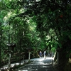 大神神社写真館(４/２３)