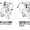 丹田の強化～腰を立てる