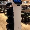 夕食はHICITYでした ――ロボットの配膳係は初めてでした――