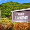 【開田高原　水生植物園】