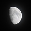 今日の月