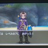 シチューうまい