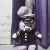 ルーたんの　アメリカ海軍のお洋服ができました