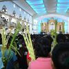 PALM SUNDAY　聖週間がはじまった