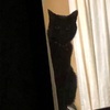 ただいま。