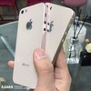 iPhone SE2とされる筐体写真　ガラス背面と金属フレーム