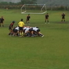 何でもおすすめ！その８ ～女子ラグビーKOBELCO CUP