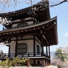 京都の桜 女一人旅 〜2日目 山科の桜編〜