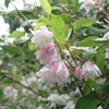 信徒だけの礼拝の可能性
