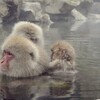 岐阜県高山市荘川　ひだ荘川温泉桜香の湯