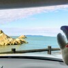 道の駅あつみ(しゃりん)内の早磯さんで旬の地魚刺身定食