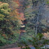 ２０１４年大山の紅葉