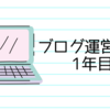 ブログ運営1年経過（後編）：1年目のPVやら今後のことなど