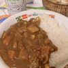 803日目　またカレーですか