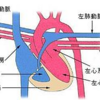 看護師国家試験　必修解説　肺循環＆体循環