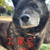 怖くて、ふるえる。