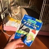 外猫さんの食べ残しを食べにくる…ナメクジ駆除をした話