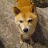 ふて寝、だよ