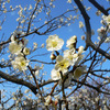 2月の総合公園で。
