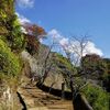 　『 秋たび 岡城跡 』