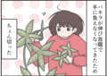 伸びすぎたパキラ