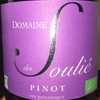 Pinot Monts de la Grage Domaine des Soulie 2014