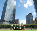 JRセントラルタワーズの春色に染まった「FLOWER GATE」を撮りに行ってきました！