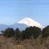 今朝の景色