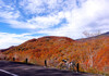 紅葉名所「母成峠」