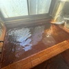 炭酸温泉 山里の湯（大分県玖珠郡九重町）