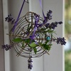 本日の楽しい　ラヴェンダー・クラフト・・・ワイヤでラヴェンダー飾り