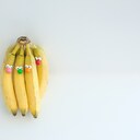 bananafamilyの日記