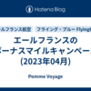 エールフランスのボーナスマイルキャンペーン(2023年04月)