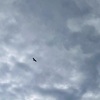【消息】