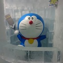 たくらだ猫の隣歩き