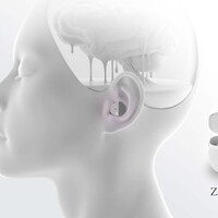 revelationのkicktonton