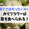 カリフラワーは茎も食べられる！捨ててはもったいない