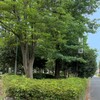 五十塚児童公園～つくば市とその周辺の風景写真案内（８３３）