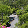 京都の新緑・清滝を駆け抜け高尾の神護寺へ
